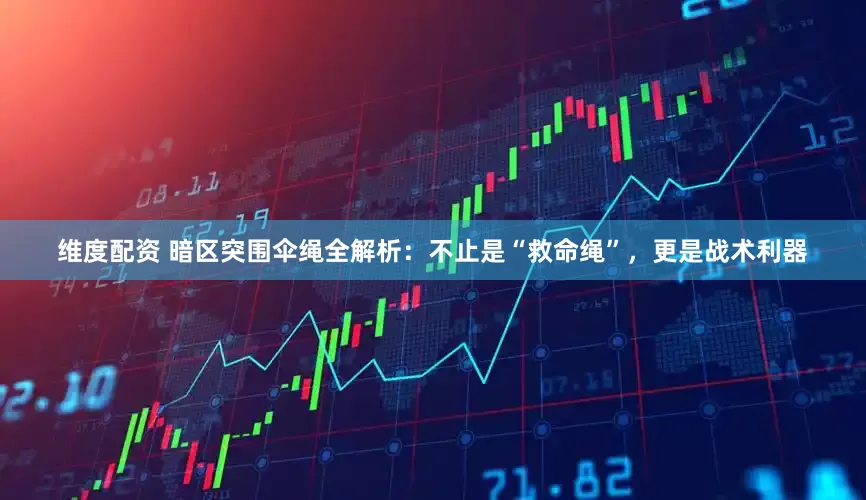 维度配资 暗区突围伞绳全解析：不止是“救命绳”，更是战术利器